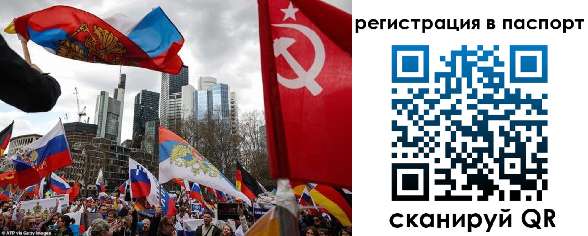 временная регистрация поиск в Королёве